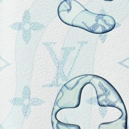 国内発送 Louis Vuitton 新作 オーガナイザー 名刺 カードケース