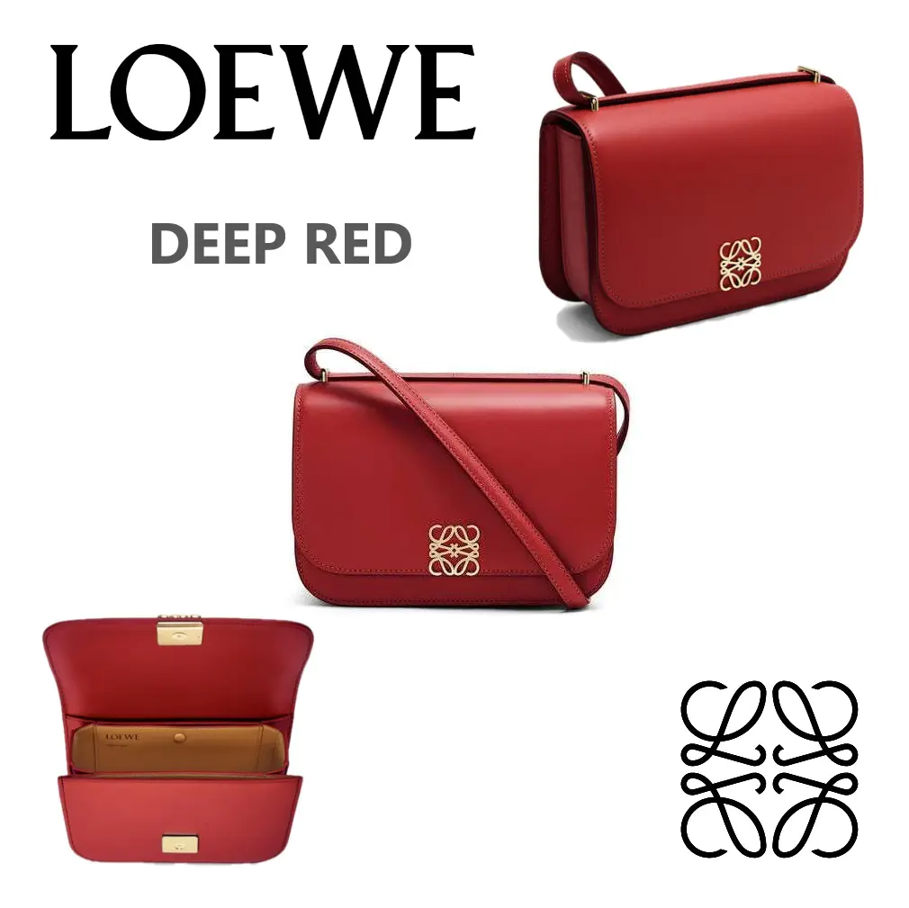 国内即発 LOEWE ゴヤバッグ (シルクカーフ)