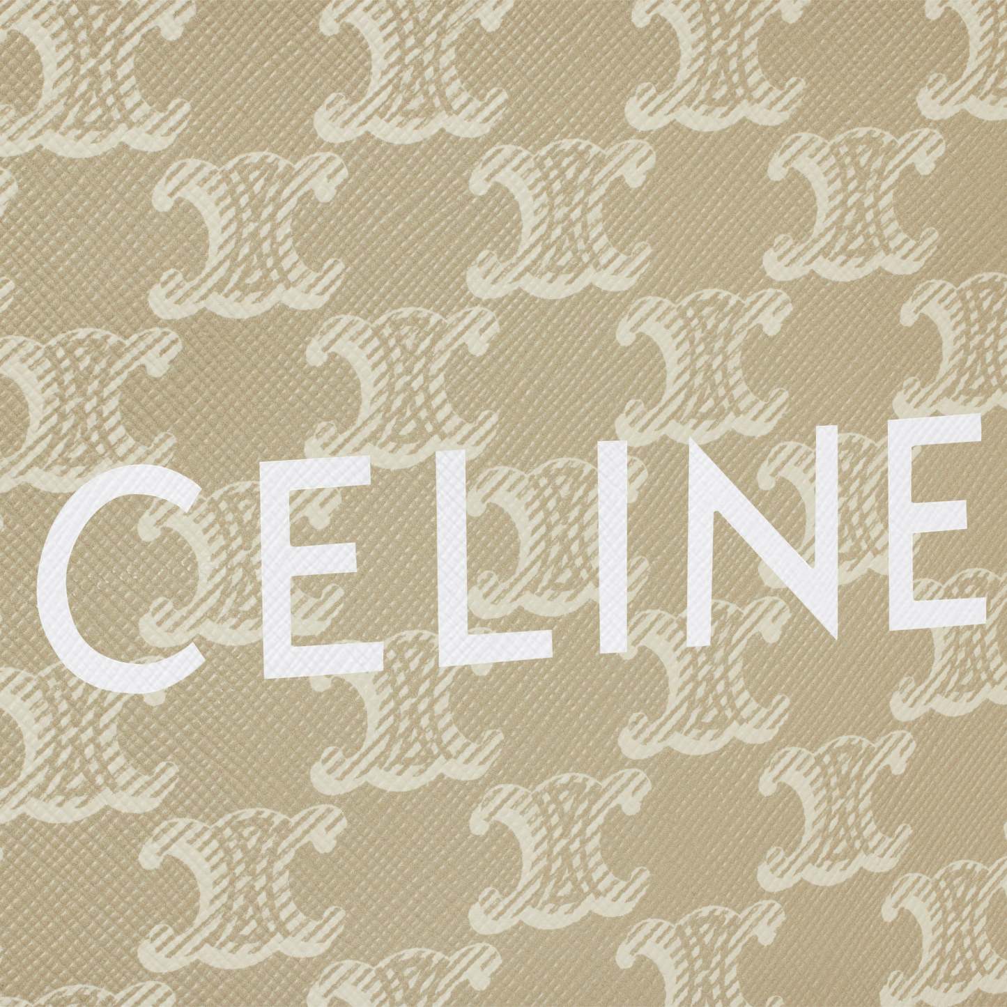 ミニ バーティカル カバ / トリオンフキャンバス＆カーフスキン