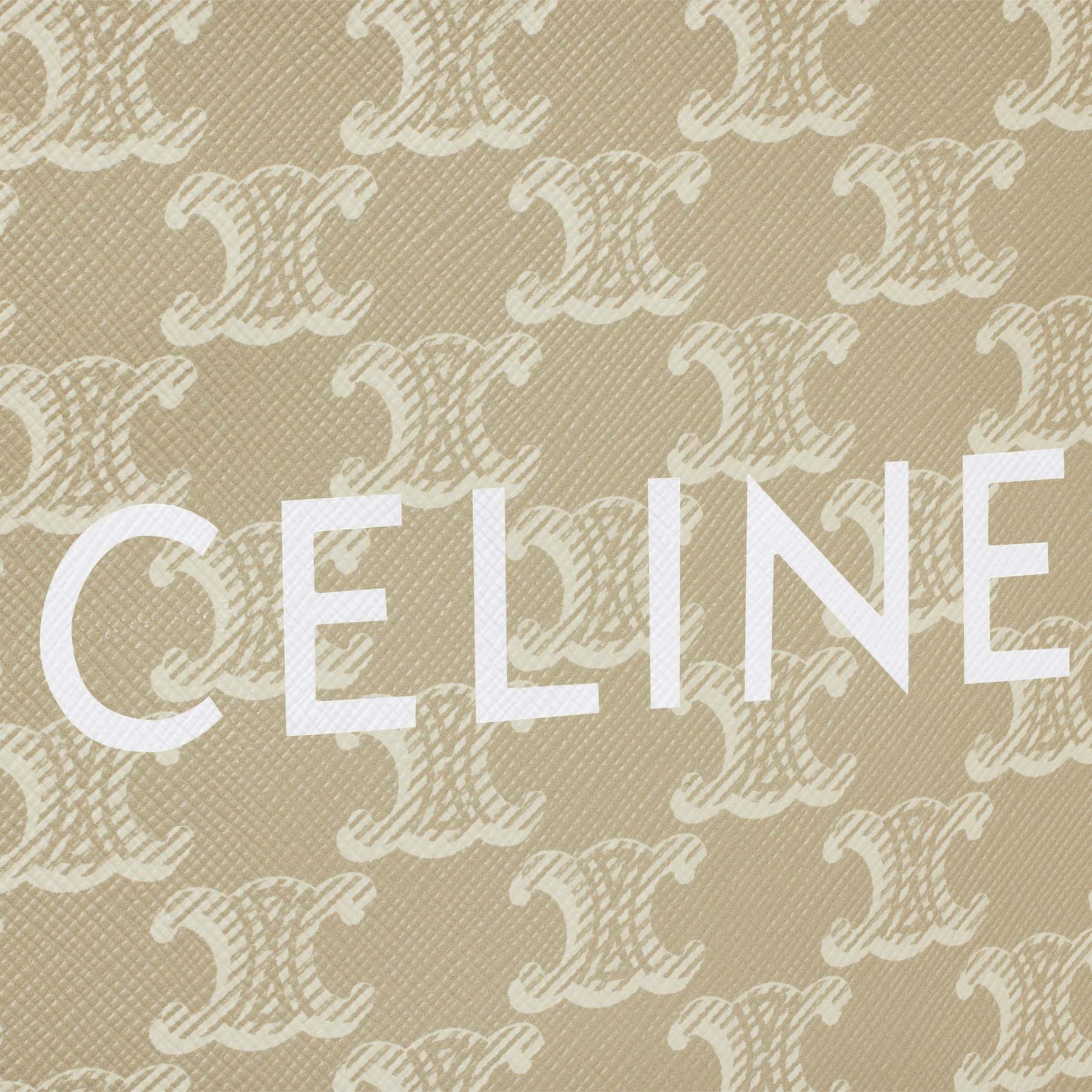 ミニ バーティカル カバ / トリオンフキャンバス＆カーフスキン