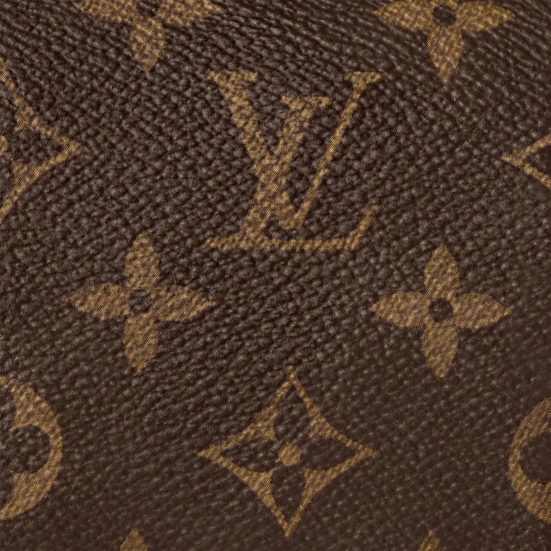 Louis Vuitton ナノスピーディ モノグラム バッグ