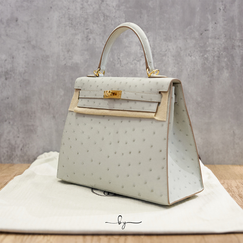 HERMES バレンチノ オーストリッチ ハンドバッグ - メルカリ