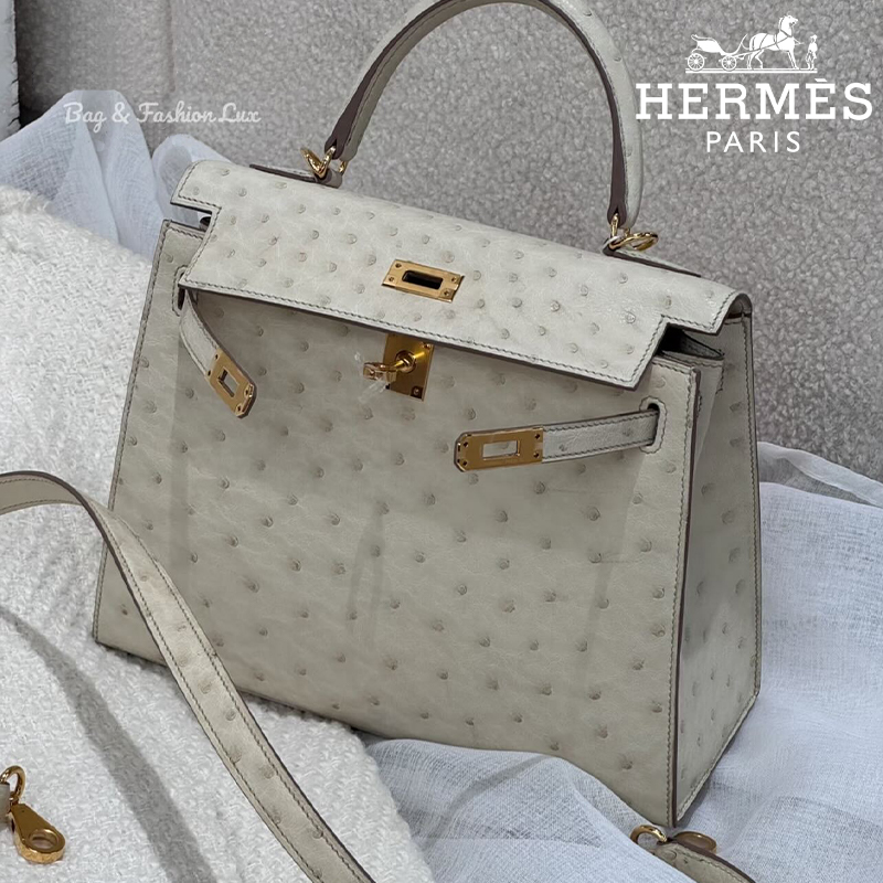HERMES バレンチノ オーストリッチ ハンドバッグ - メルカリ
