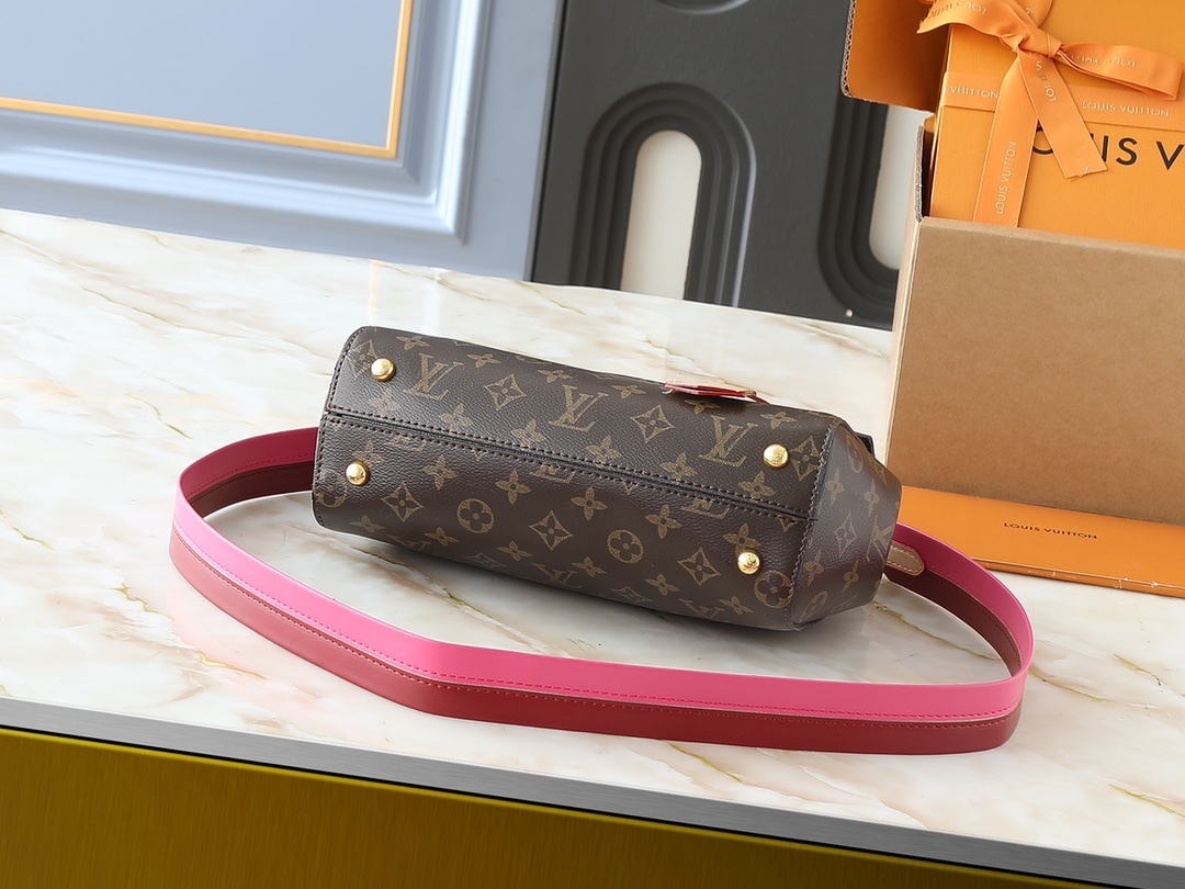 LOUIS VUITTON ルイヴィトン CLUNY BB バッグ M42738 M44863