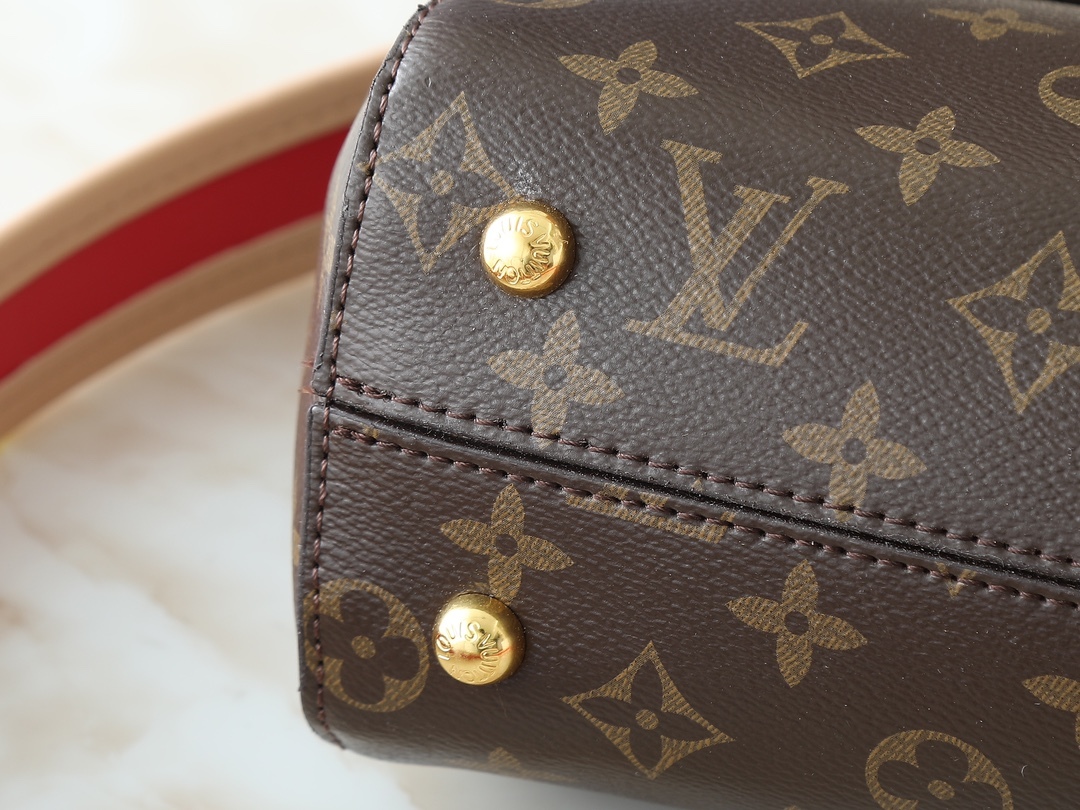 LOUIS VUITTON ルイヴィトン CLUNY BB バッグ M42738 M44863