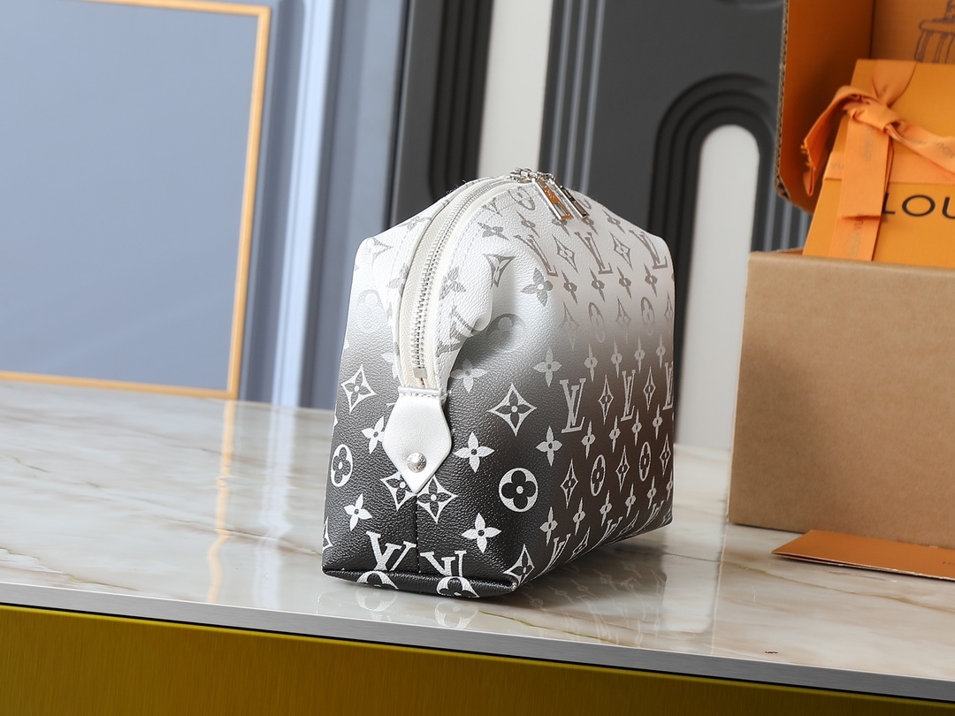 LOUIS VUITTON ルイヴィトン DENIM 化粧ポーチ M24317