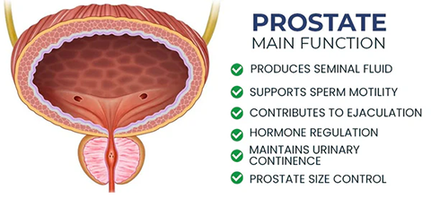 LOVILDS™ BeeBoom Nasal Inhaler For Prostate Wellness