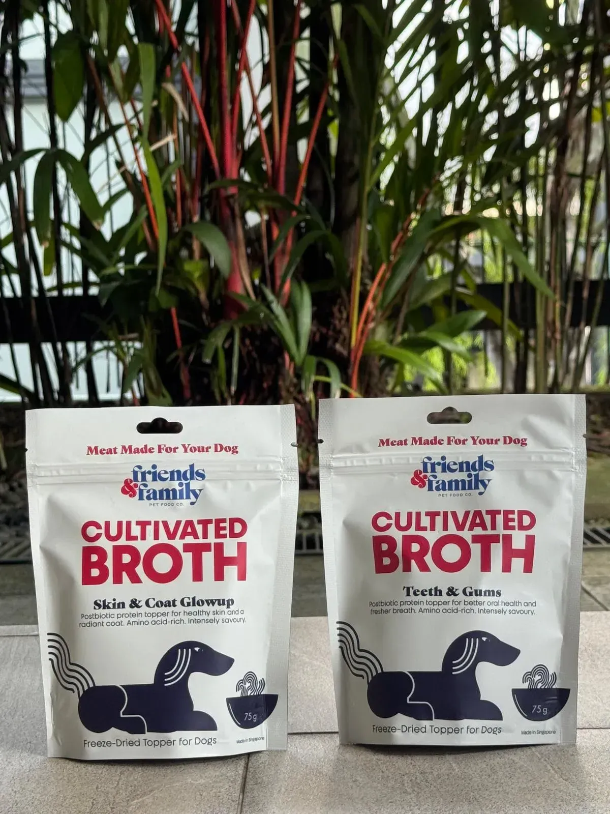 Cultivated Broth for Dogs