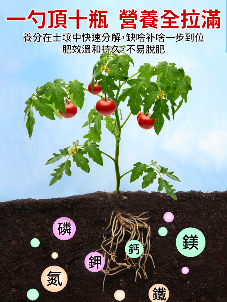 【營養翻倍】種菜養花水溶肥