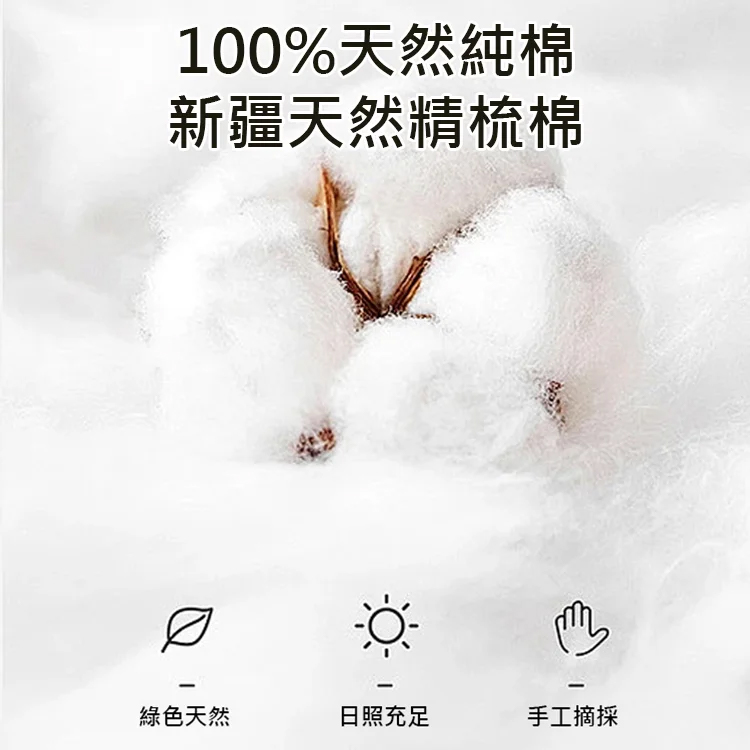 【防滑透氣】貓襪水晶底卡絲女襪