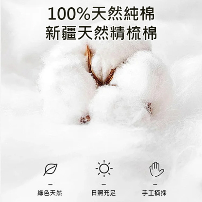 【防滑透氣】貓襪水晶底卡絲女襪