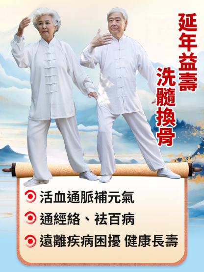 正宗少林易筋經