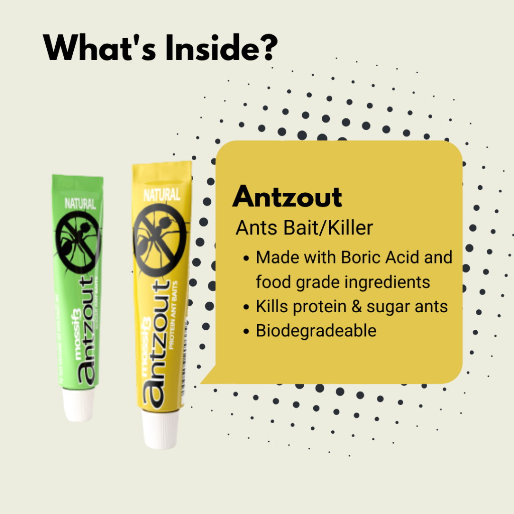 (STARTER KIT) Mossif3 3in1 Repellent Set Ant Lizard Mosquito Non Toxic, Repel Home Pests