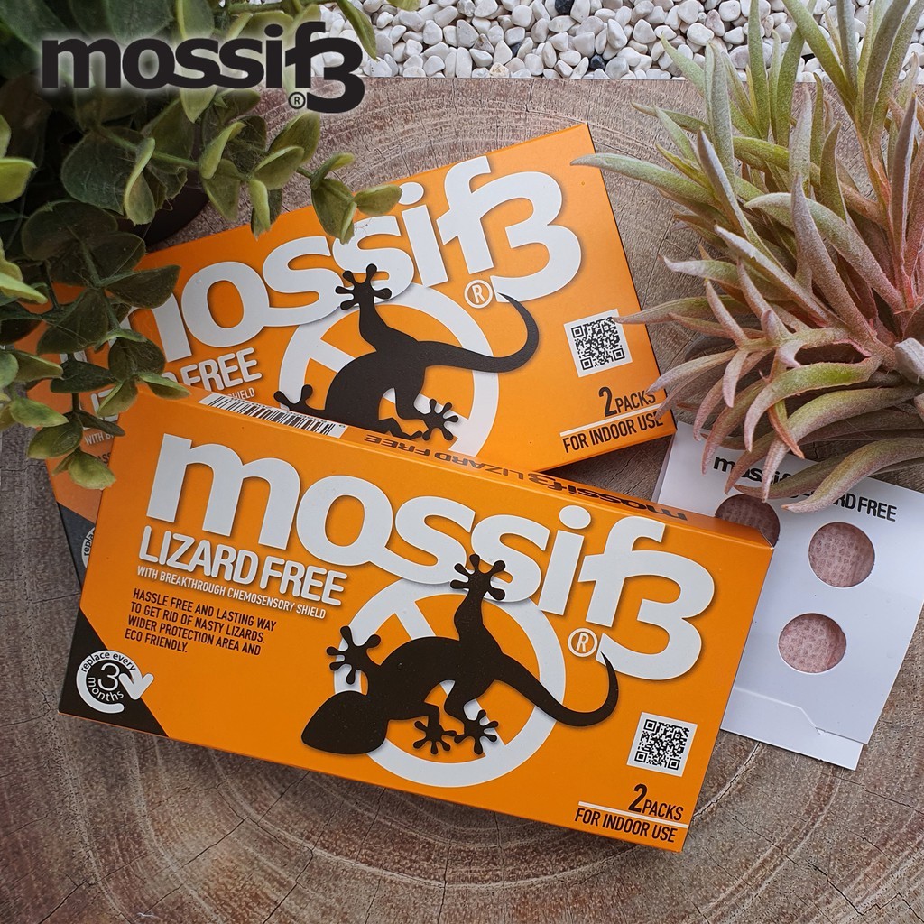 Mossif3 Lizard Repellent (Value Pack). Non Toxic, No Killing, No mess. Just Open and Place.