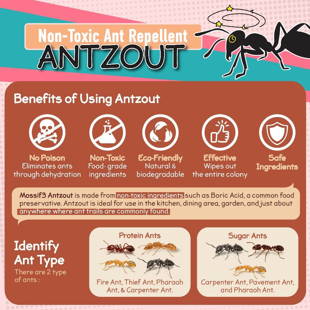 Non Toxic Ant Killer. Remove Ants' Colony. Safe for Children and Pets (2 Packs)