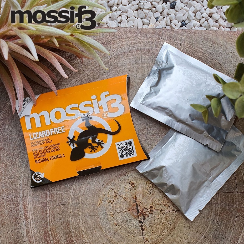 Mossif3 Lizard Repellent (Single Pack). Just Open and Place. Non Toxic, No Killing, No mess.