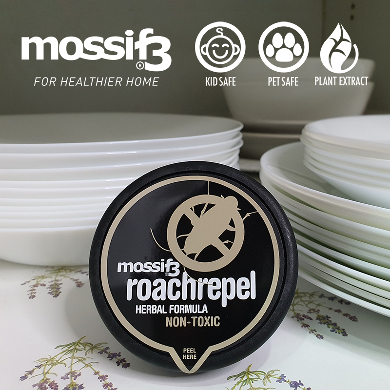 Mossif3. Natural Cockroach Repellent for Car, Cabinets, and Kitchen.
