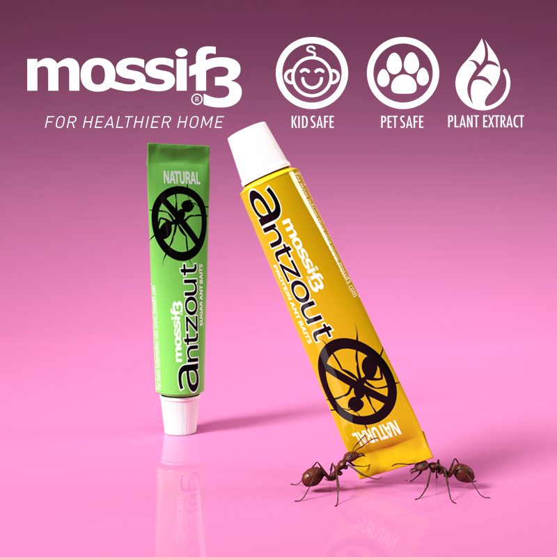 Non Toxic Ant Killer. Remove Ants' Colony. Safe for Children and Pets (2 Packs)