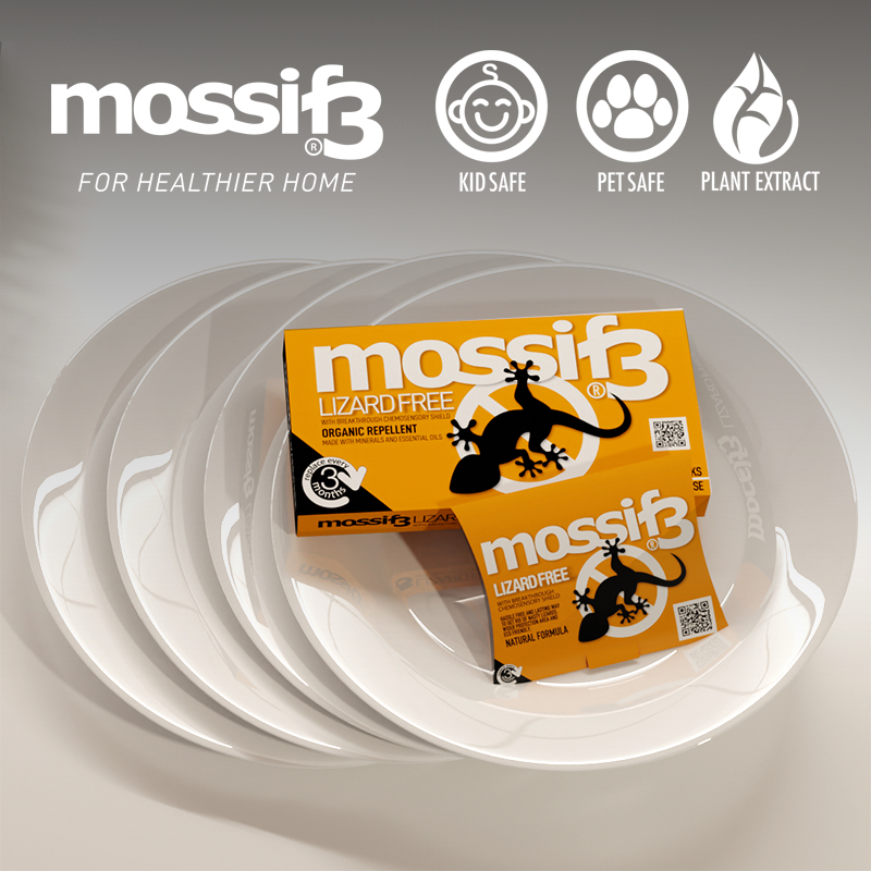 Mossif3 Lizard Repellent (Value Pack). Non Toxic, No Killing, No mess. Just Open and Place.