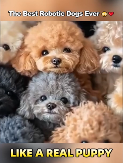 Germany's New Generation AI Realistic Puppy🐕If you're not satisfied, get a full refund❤️