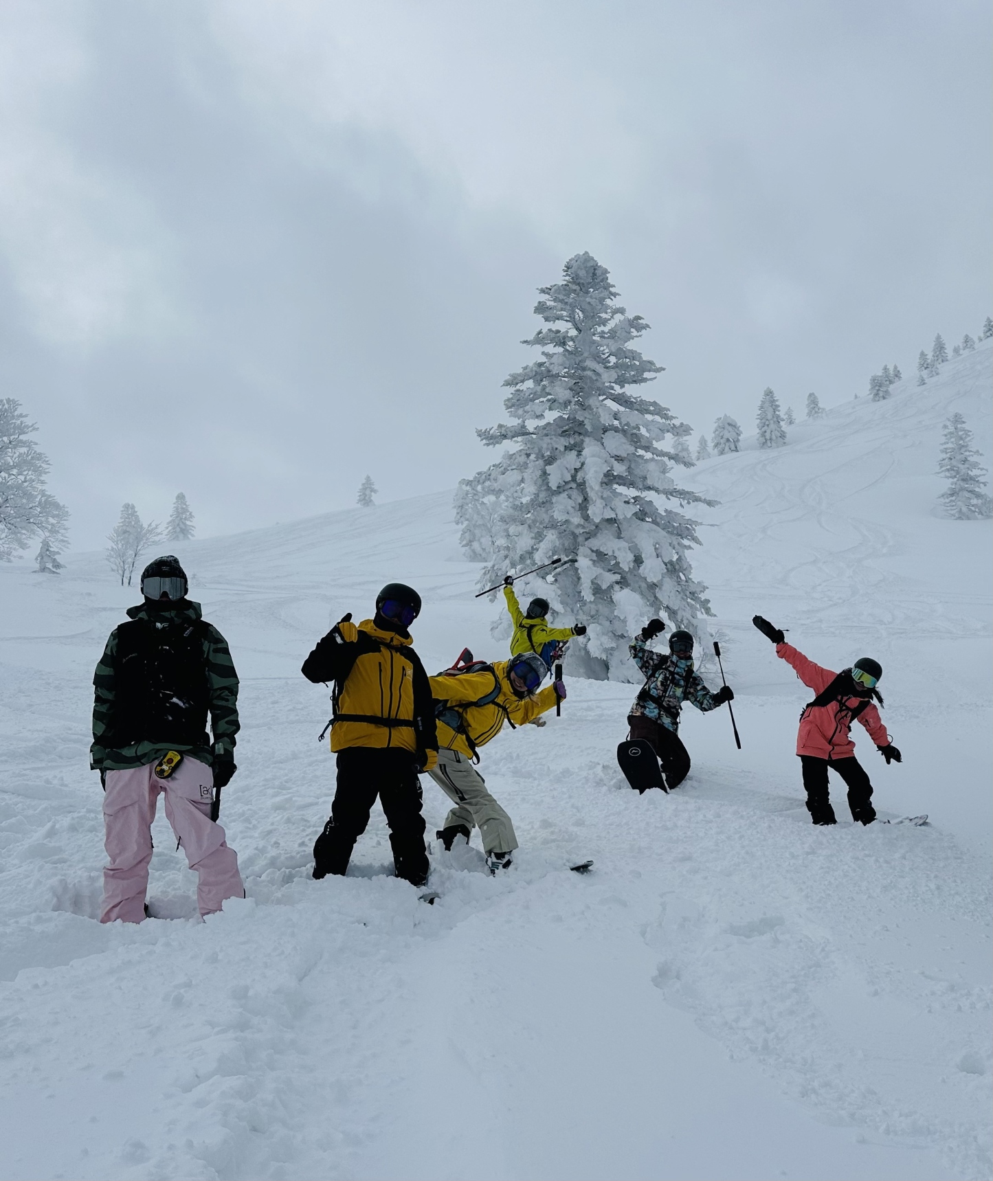 【日本｜俱知安】住滑｜1日起订｜中英领队，机场接送