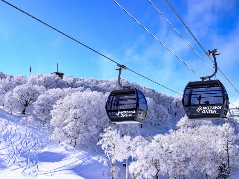 【日本｜野泽】6天5晚4滑｜2.18-2.23｜五晚住宿，机场接送