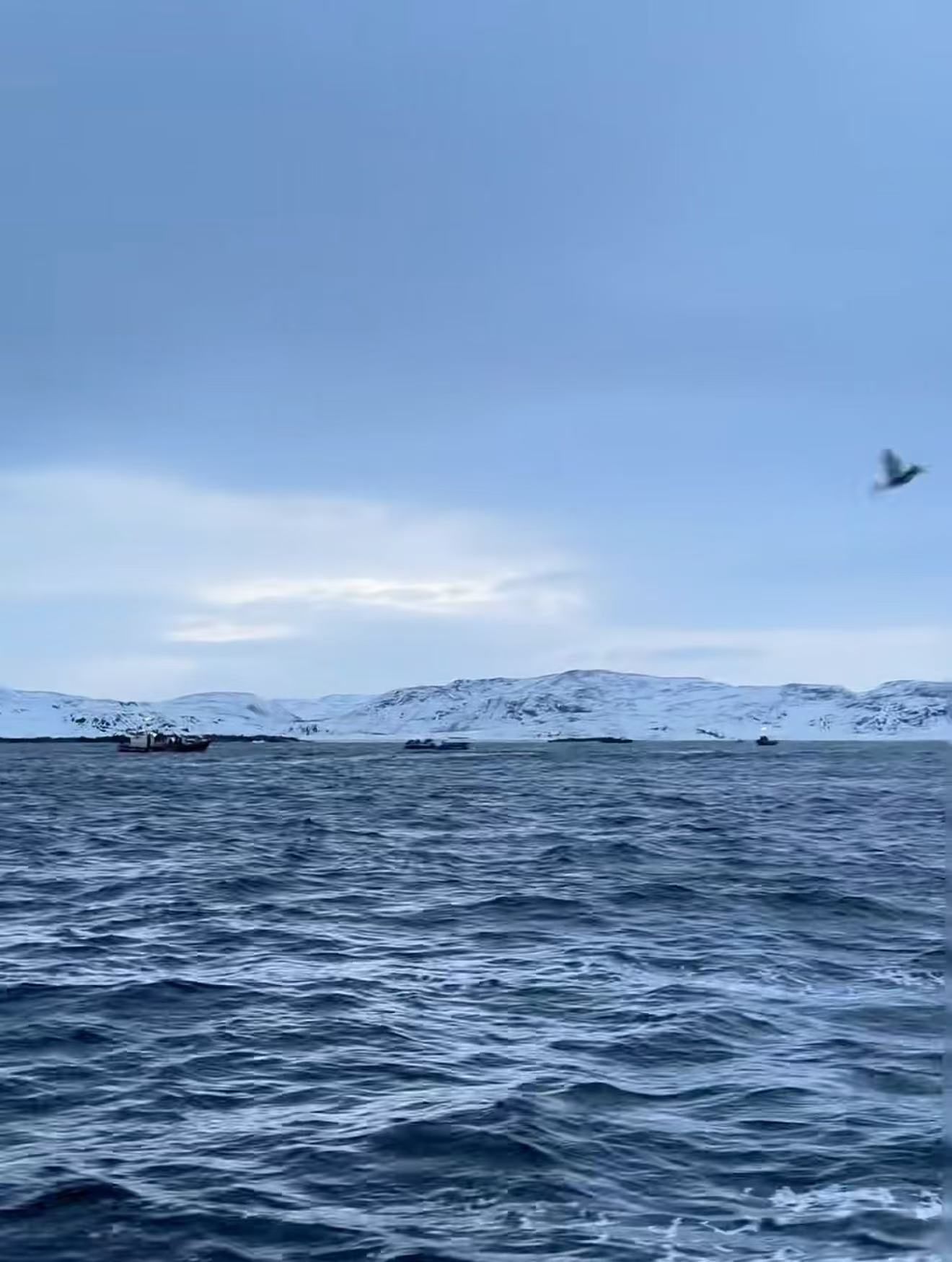 【俄罗斯｜Bigwood】8天7晚6/4滑+2日游｜多个团期｜野雪体验，1天导滑