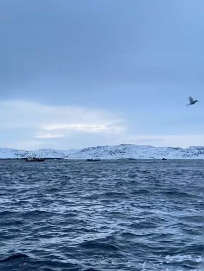 【俄罗斯｜Bigwood】8天7晚6/4滑+2日游｜多个团期｜野雪体验，1天导滑