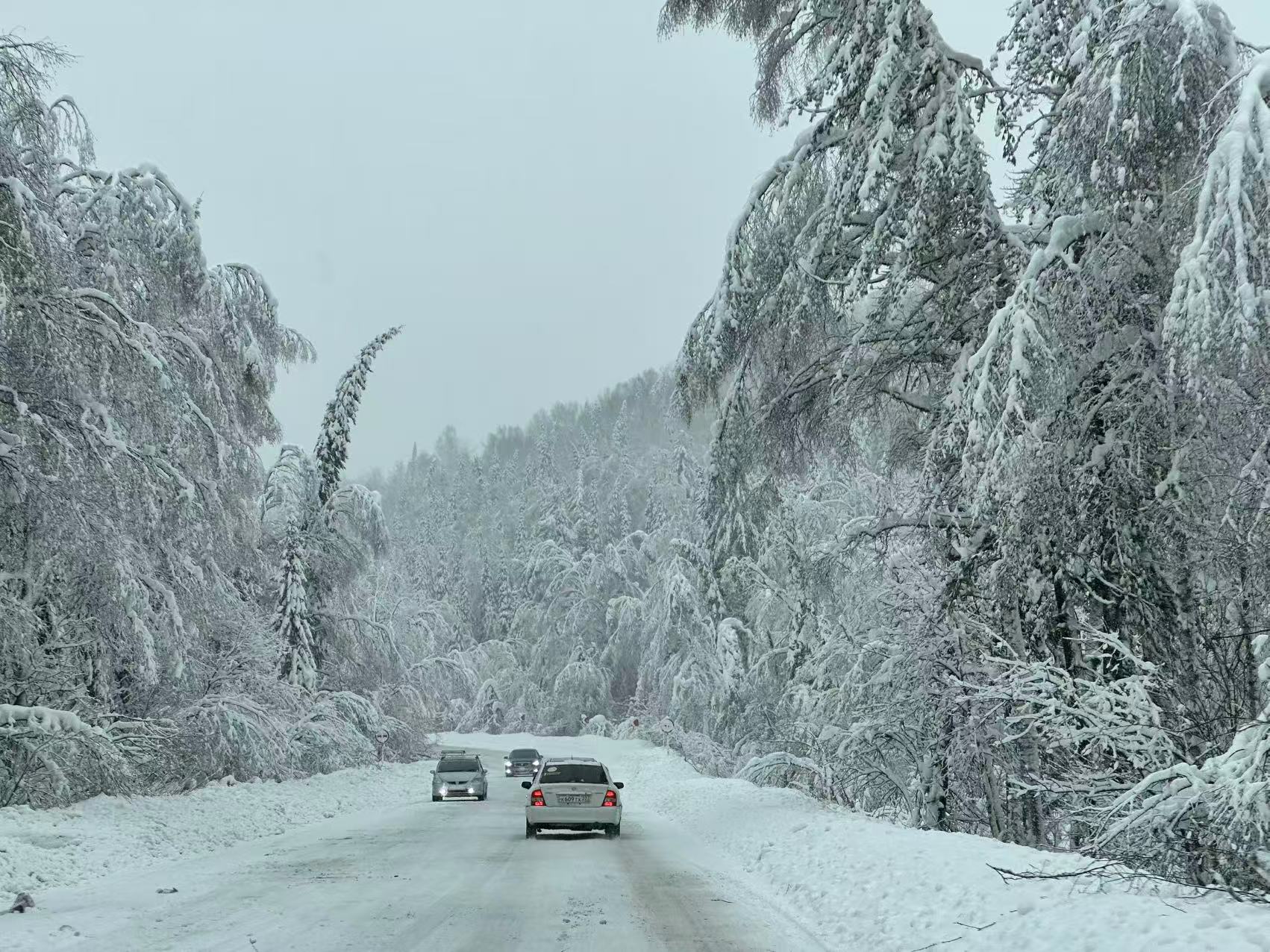 【俄罗斯｜谢列格什】8天7晚6滑｜每周六出发｜七晚住宿，新手友好