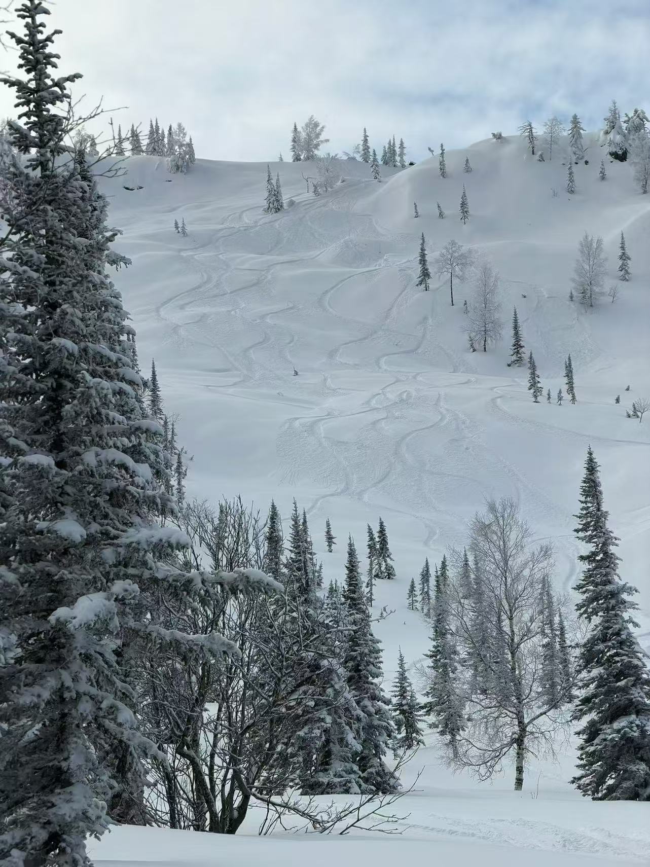 【俄罗斯｜谢列格什】8天7晚6滑｜每周六出发｜七晚住宿，新手友好