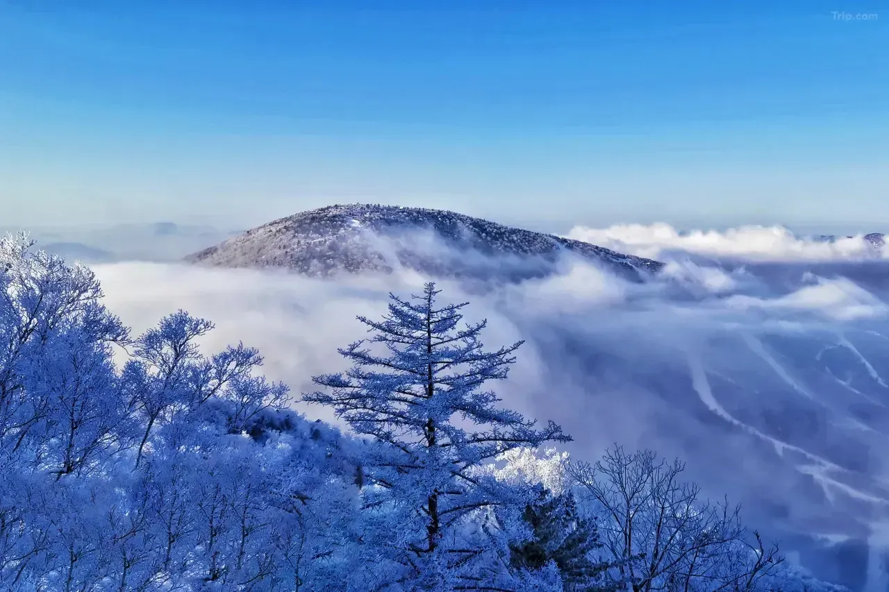 【中国｜北大湖】5天4晚3滑｜机场接送，3天雪票
