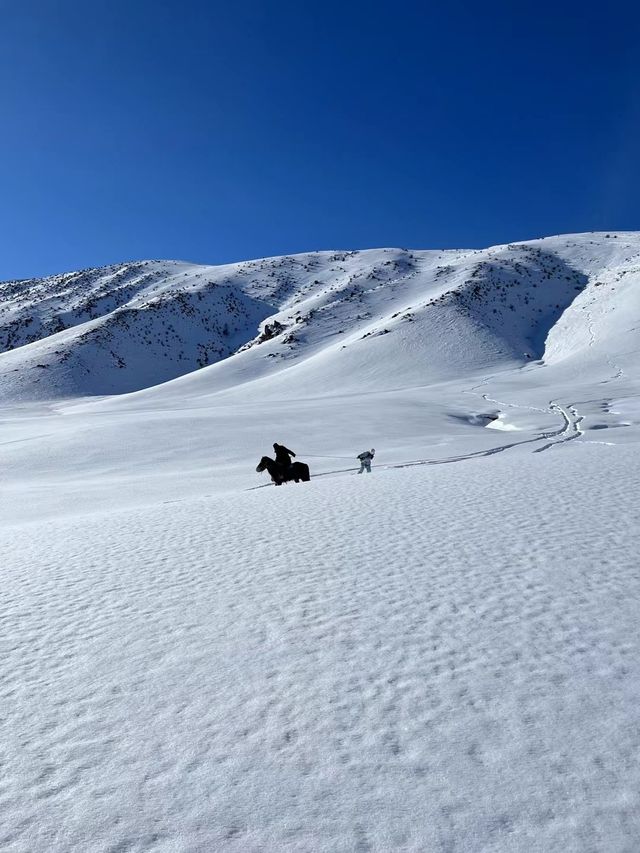 【中国｜可可托海】6天5晚4滑｜机场接送，4天雪票