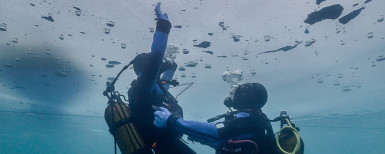 【法国】阿尔卑斯冰洞潜水｜休闲活动