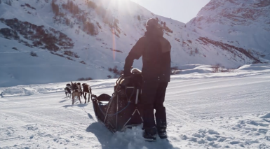 【法国】阿尔卑斯狗拉雪橇｜休闲活动