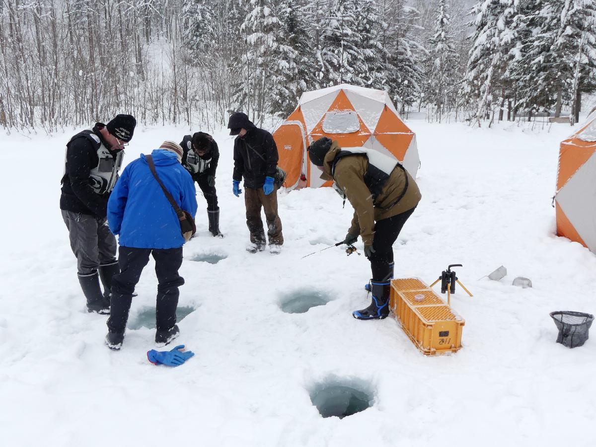 【日本】冰洞钓鱼｜休闲活动