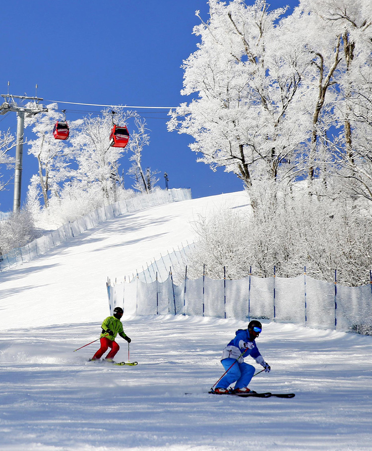 Official website of Changbaishai Wanda International Resort