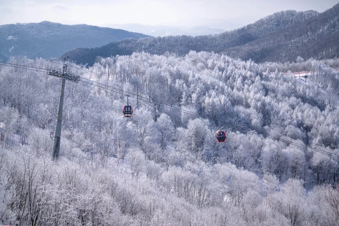 [China｜Tonghua Wanfeng Ski Resort] 8 Days 7 Nights 6 Ski Days｜Train station transfers & 6-Day Ski Pass & Onsen tickets