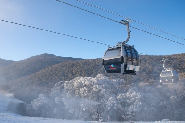 【澳大利亚｜Thredbo/Perisher】堪培拉出发一日游｜舒适客车 | 英语导游