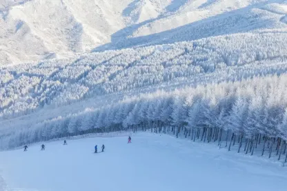 【中国｜崇礼】5天4晚3滑｜机场接送，3天雪票