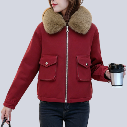 無地 カジュアル シンプル 長袖 レディース ジャケット