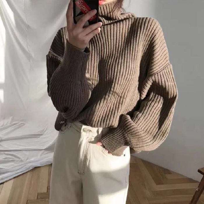 保温性 贅肉カバー 無地 ハイネック 通気性 快適 ニット