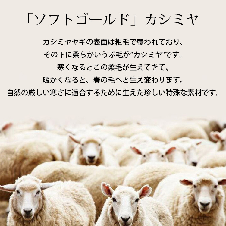  タートルネックカシミヤセーター