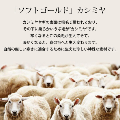  タートルネックカシミヤセーター