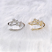 精巧な仕上がり 絶妙なデザイン 12星座 ダイヤモンド リング