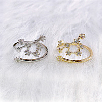 精巧な仕上がり 絶妙なデザイン 12星座 ダイヤモンド リング