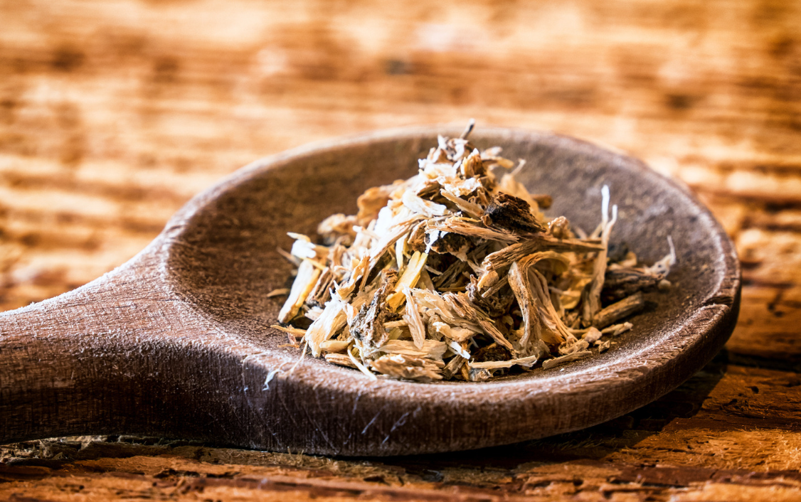 Дудник китайский / Данг-гуй (Angelica sinensis)