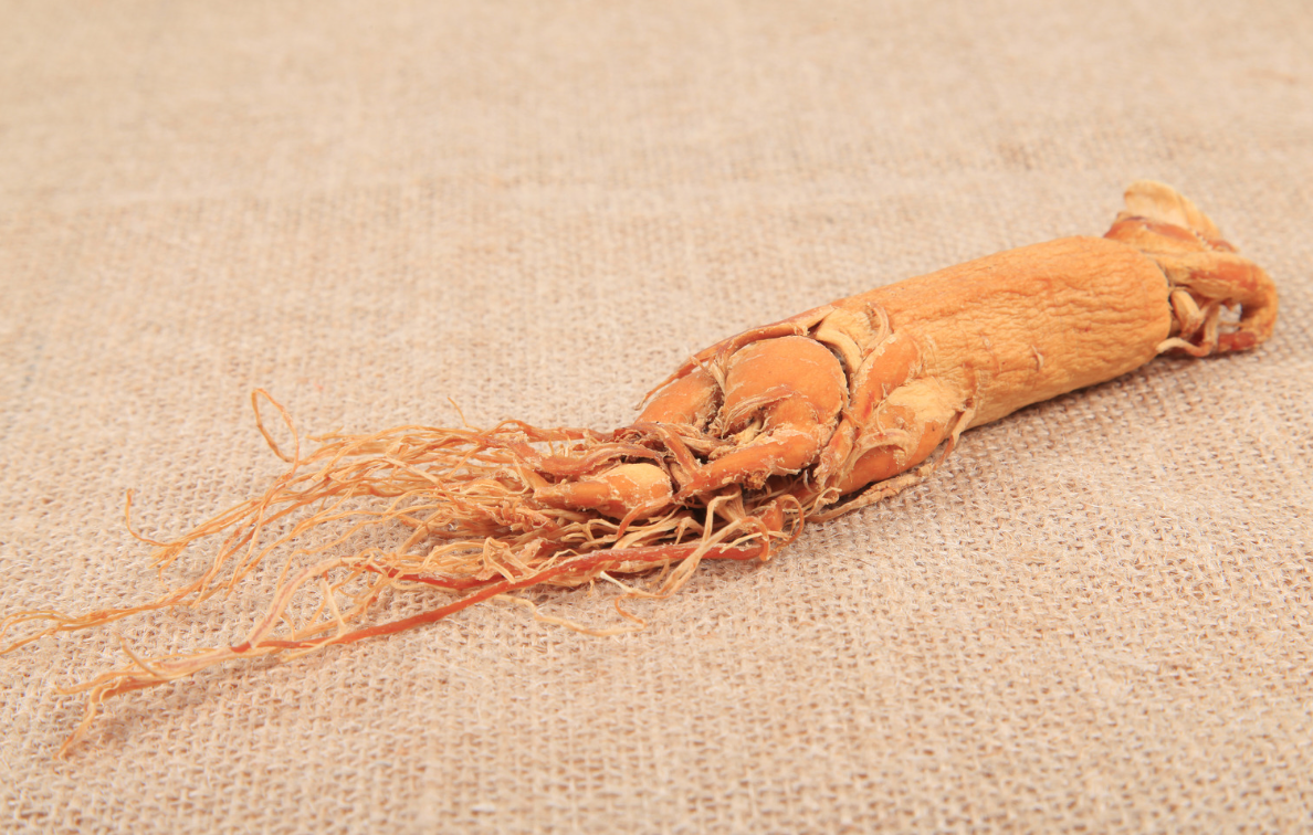 Женьшень (Panax ginseng)