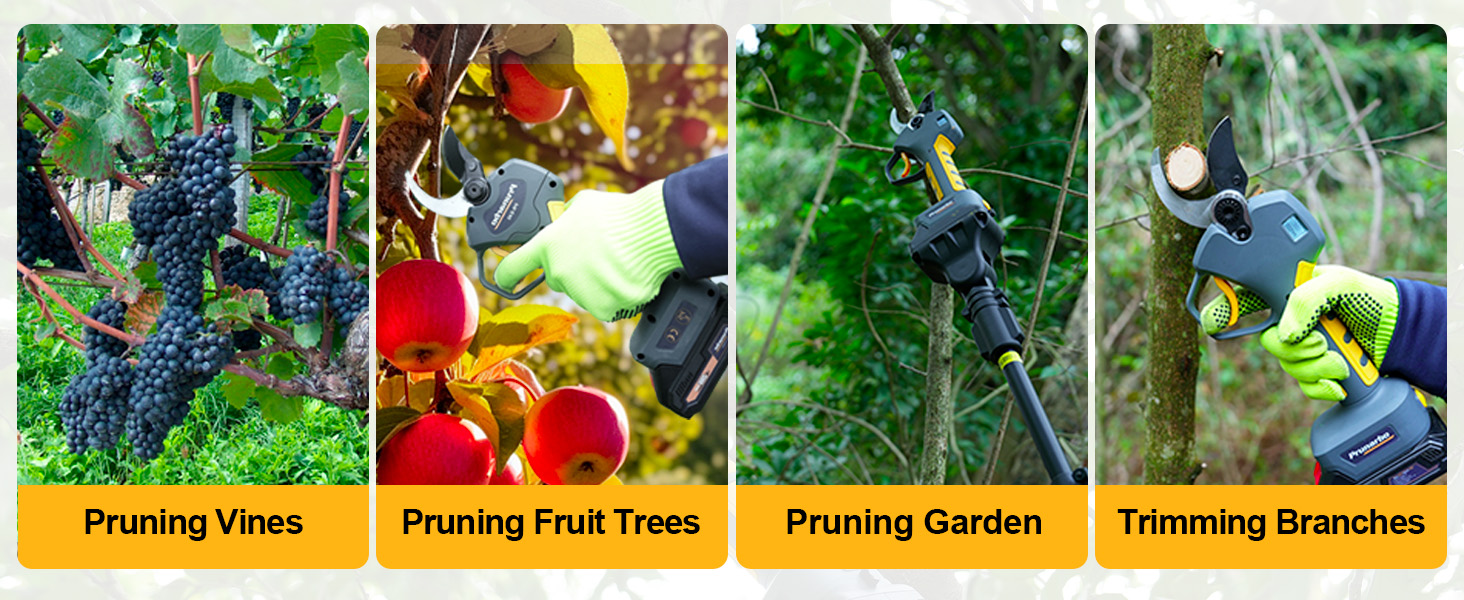 {"default":"PR-E40 cordless pruner in action across four garden tasks: trimming grapevines, fruit trees, ornamental shrubs, and high branches with extension pole"}
