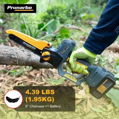 21V 8Inch Mini Chain Saw Battery Powered with Extension Pole -- Prunarbo PR-E8-Set