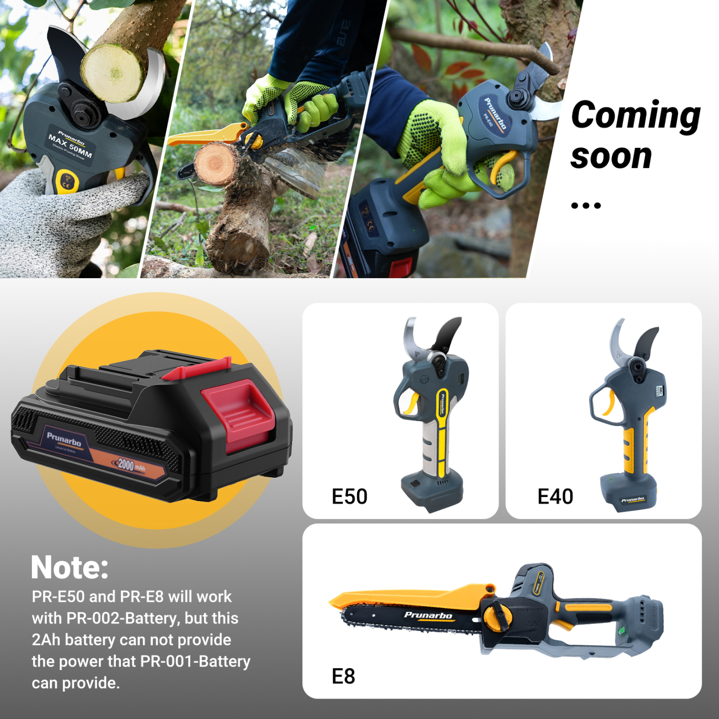 2000mAh 21V MAX 5C Lithium-ion Battery -- Prunarbo PR-002-Battery